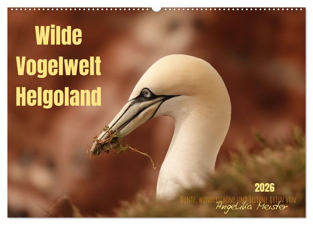 Wilde Vogelwelt Helgoland (Wandkalender 2026 DIN A2 quer), CALVENDO Monatskalender