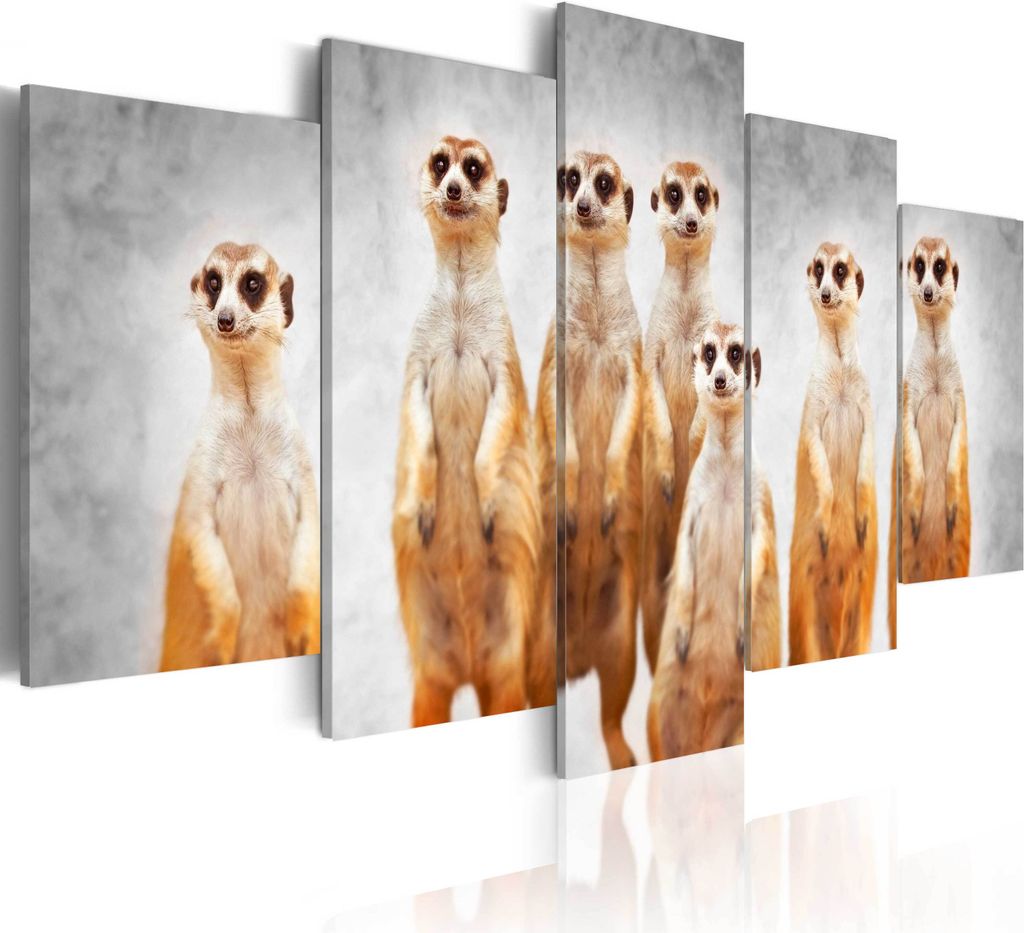 Modernes Wandbild g-A-0087-b-n (150x75) - 5 Teilig Bilder Fotografie auf Vlies Leinwand Foto Bild Dekoration Wand Bilder Kunstdruck TIER NATUR ERDM...