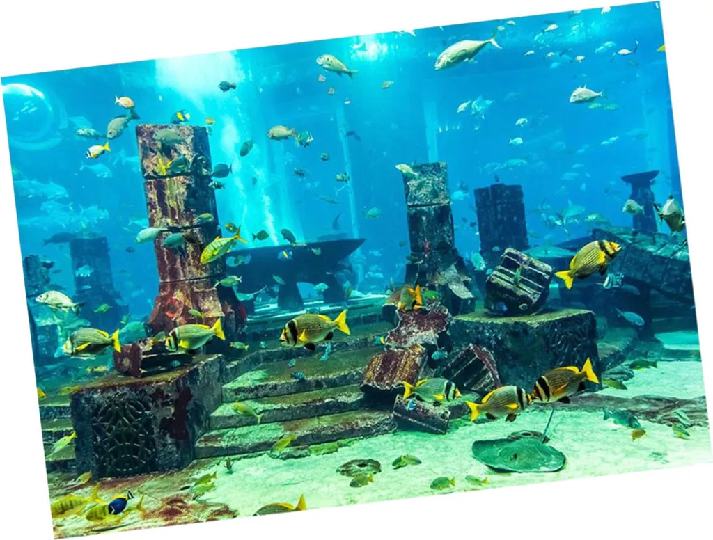 Acquario sfondo subacqueo, poster subacqueo, poster serbatoio di pesce, decorazioni murali serbatoio di pesce, adesivo serbatoio di pesce