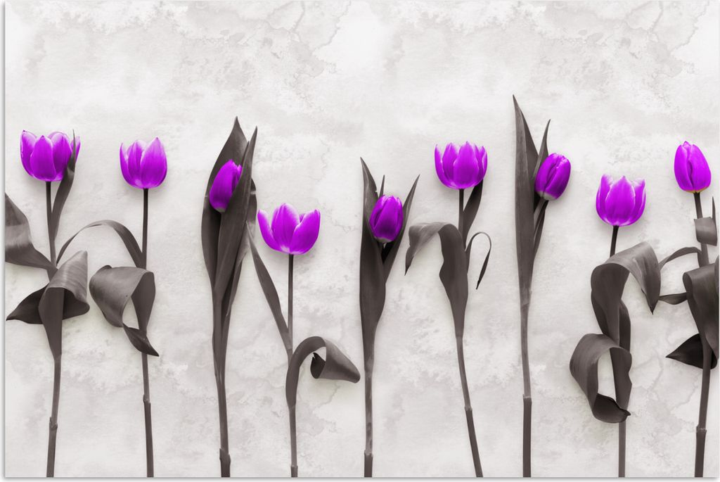 MuchoWow Poster Blumen - Tulpen - Lila 30x20 cm - Plakate - Print