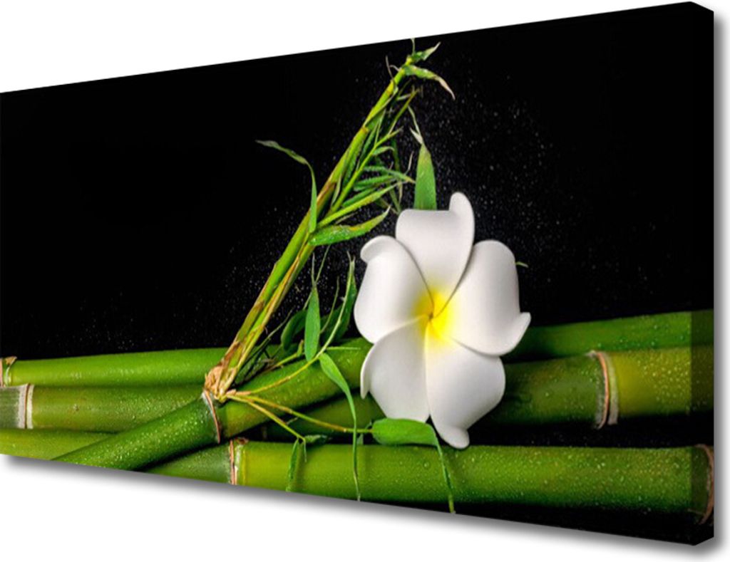 Tulup Leinwand-Bilder 100x50 Wandbild Canvas Kunstdruck Bambus Blume Pflanzen