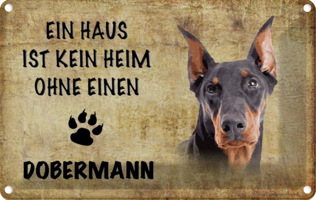 vianmo Blechschild 20x30 cm Doberman Hund ohne kein Heim Tier Haustier