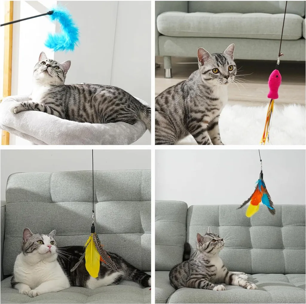 Canne à pêche pour chats anti-ennui : set de 16 jouets avec recharges
