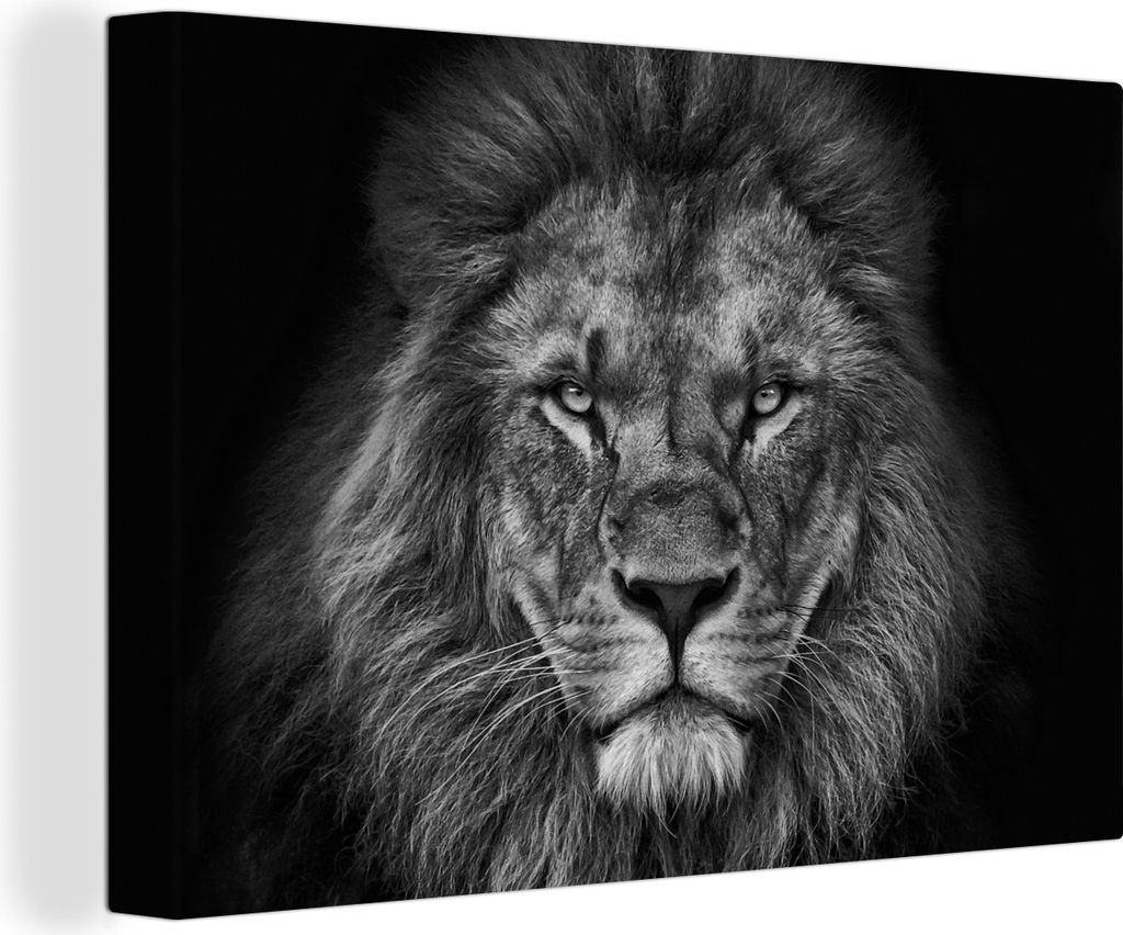 OneMillionCanvasses - Leinwandbilder - 150x100 cm, Löwe - Tiere - Schwarz - Weiß, Wandbilder Kunstdruck Wanddekoration - Foto auf Leinwand - Ge...