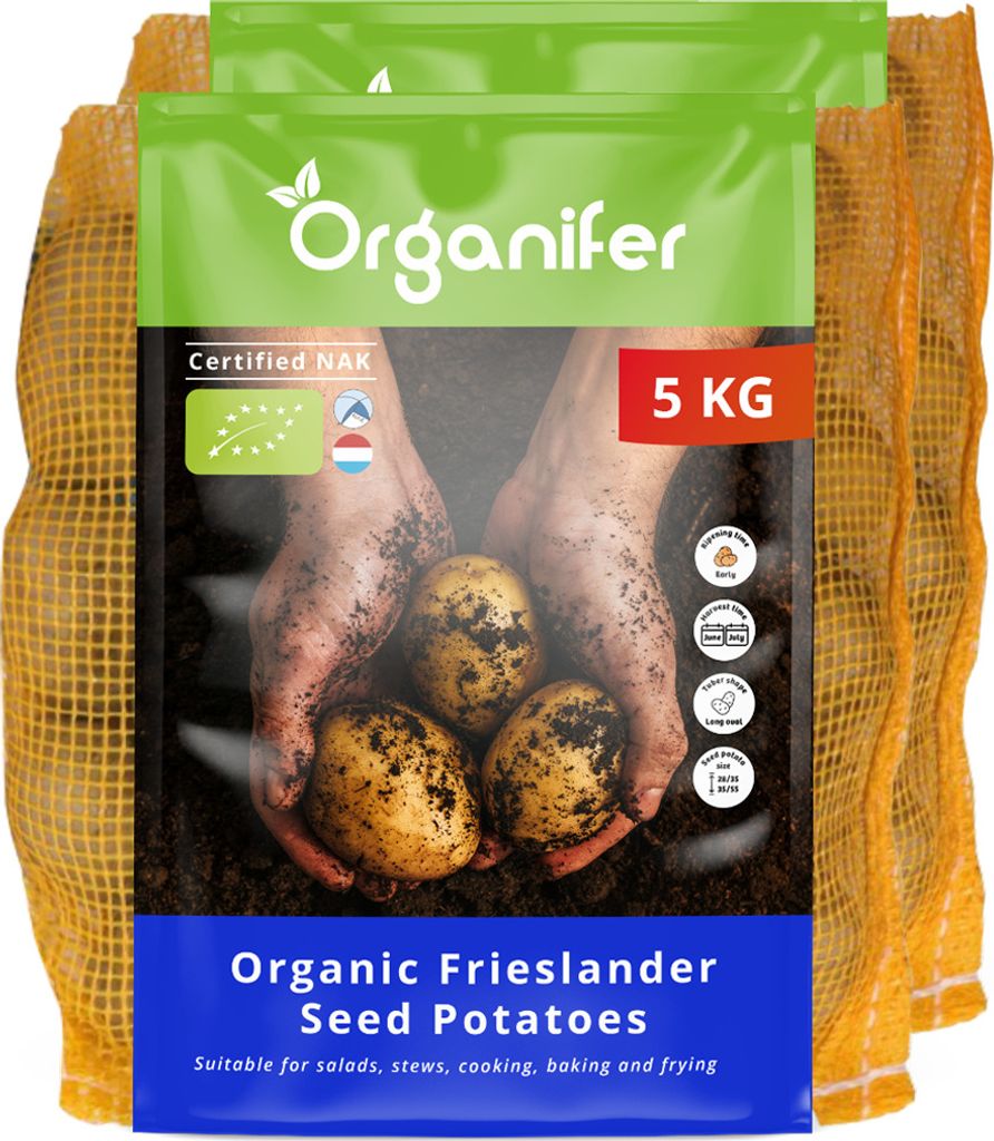 Saatkartoffeln Frieslander A 28/35 (10 kg) - Organifer