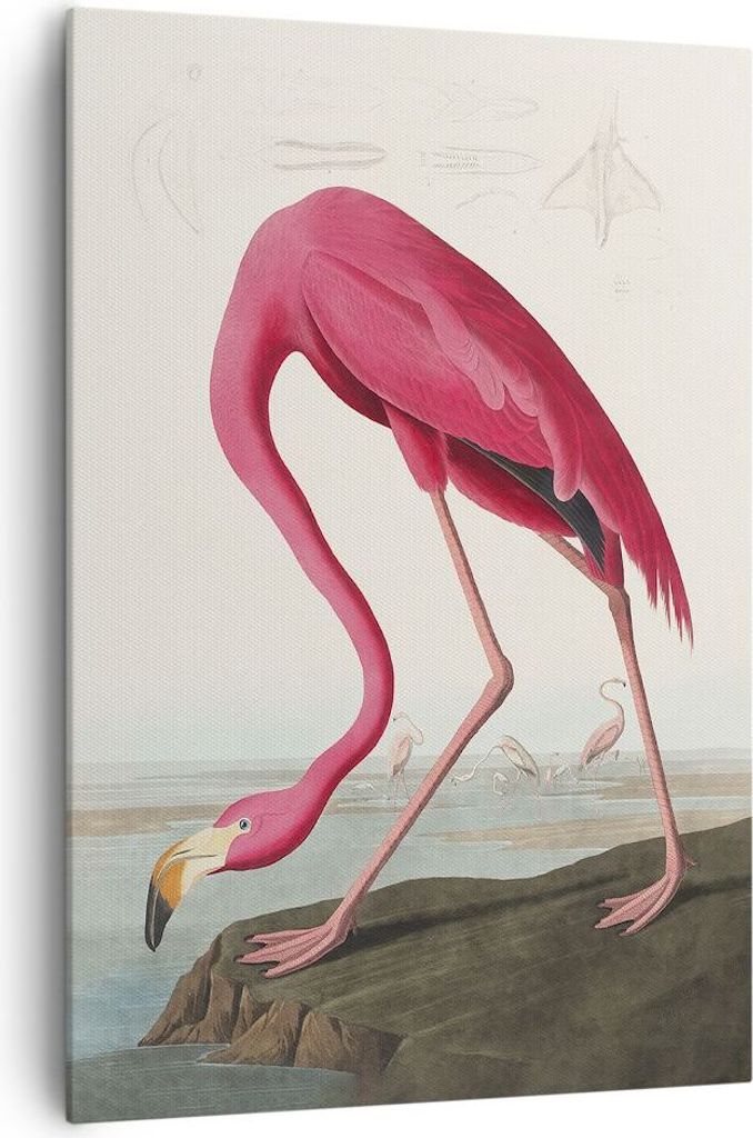 Bild auf Leinwand - Leinwandbild - Einteilig - Flamingo Vogel Exotik - 70x100cm - Wand Bild - Wanddeko - Wandbilder - Leinwanddruck - Wanddekoratio...