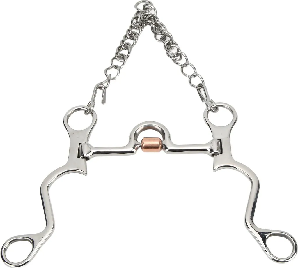 Pelham Inox 130mm : Mors Robuste pour Équitation de Précision