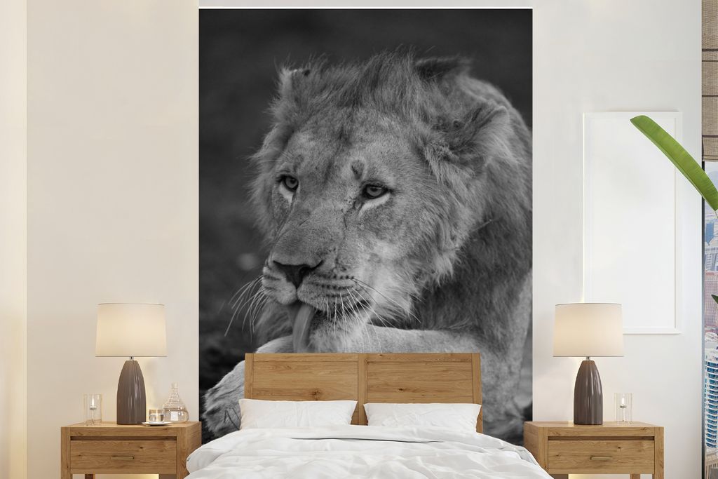 MuchoWow Fototapete für Wohnzimmer oder Schlafzimmer Wandtapete Vinyl Motivtapete Löwe - Wild - Schwarz - 200x300 cm - Wanddekorationen