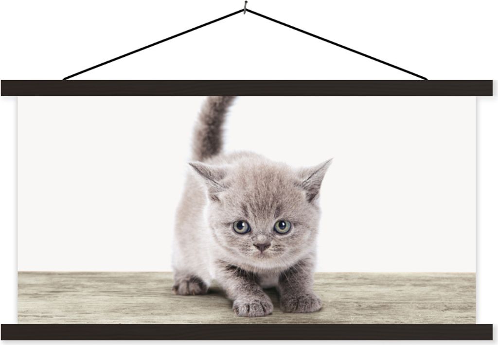 MuchoWow Textilposter Kätzchen - Katze - Haustiere - Jungen - Kinder - Mädchen 60x30 cm mit schwarzem Rahmen - Textilien