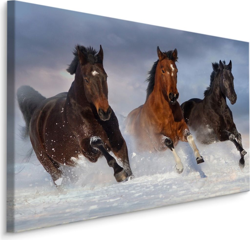 Fabelhafte Canvas LEINWAND BILDER 120x80 cm XXL Kunstdruck Tiere Pferde Wild Schnee