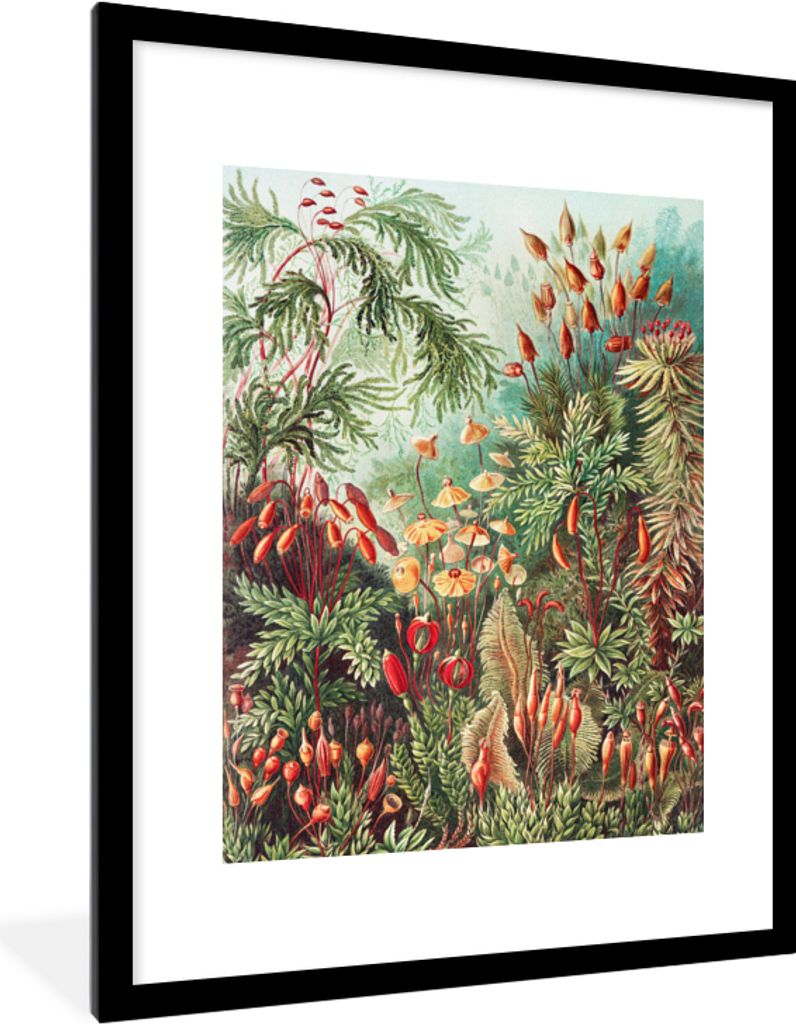MuchoWow Gerahmtes Poster Blumen - Kunst - Vintage - Natur - Botanisch 60x80 cm - Poster mit Schwarzem Bilderrahmen Wandposter Rahmen Foto Bilder...