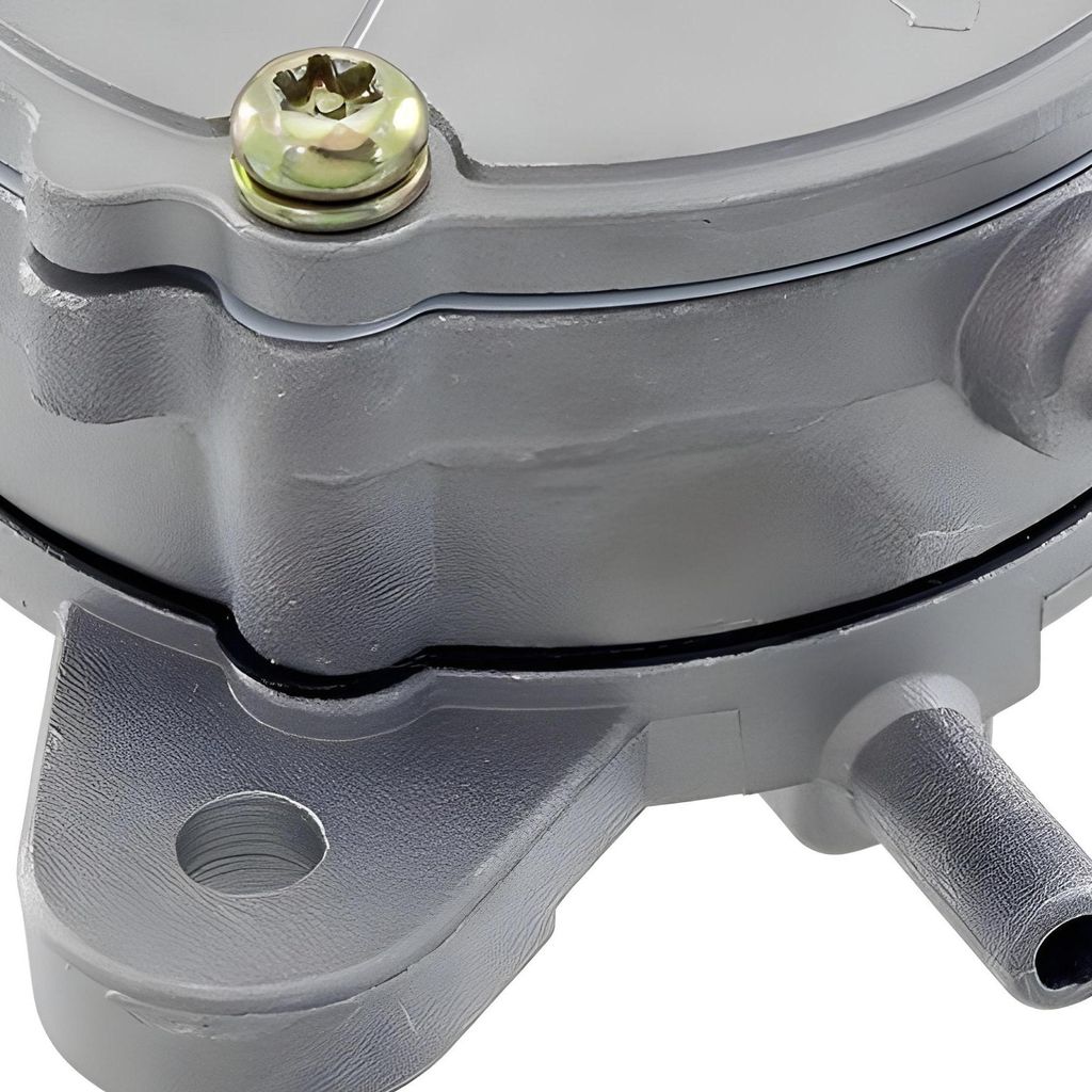 RMS Benzinpumpe kompatibel mit Kymco People S 250ccm, 00165200
