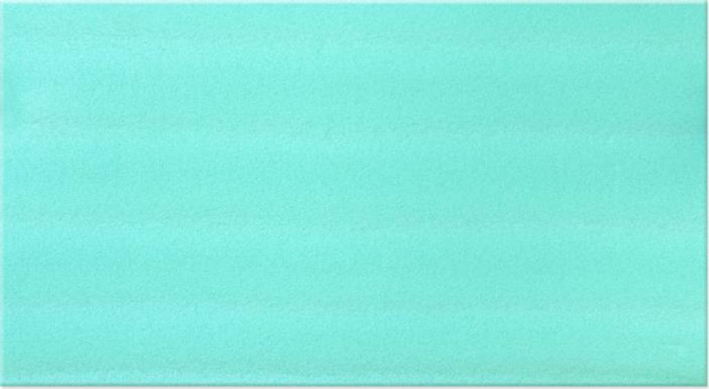 Tapis de gymnastique MASTER pour l'aérobic 90 x 50 cm Image du produit 