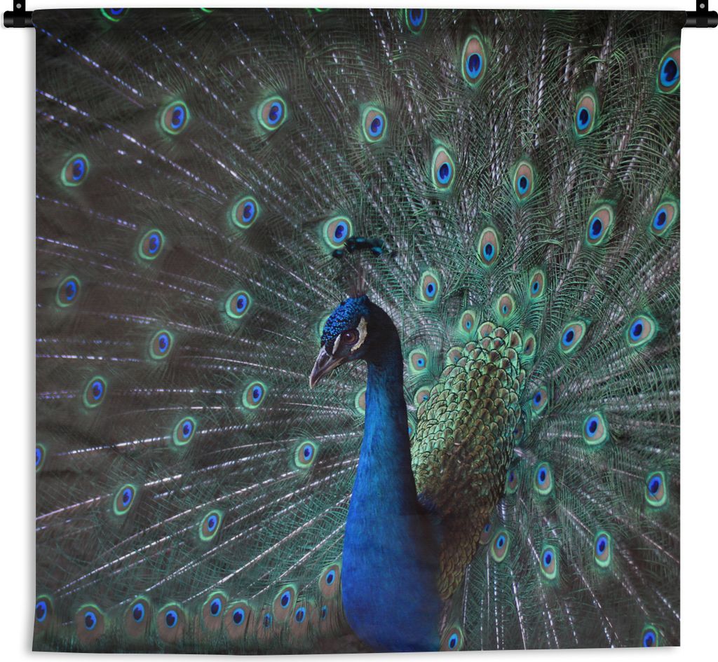 MuchoWow Wandteppich Wandbehang Pfau - Federn - Farben 120x120 cm Tapisserie Dekoration Wandtuch - Modern - Baumwollgewebe