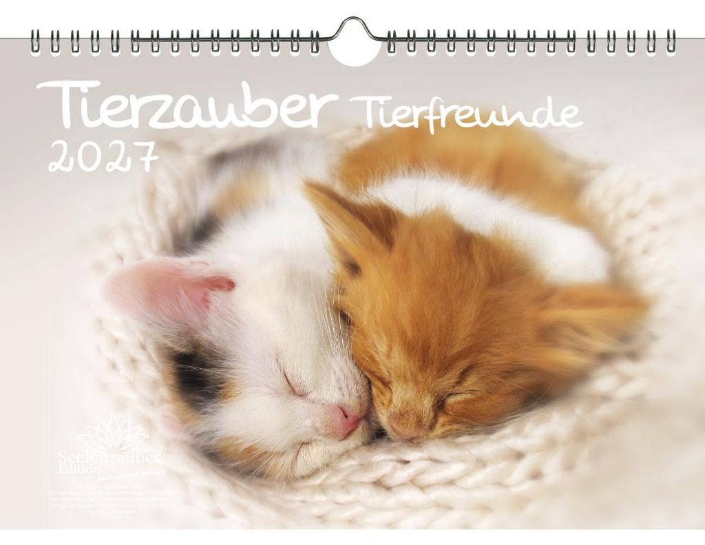 Tierzauber Tierfreunde DIN A4 Kalender für 2027 verschiedene Tiere und ihre Freundschaften - Seelenzauber