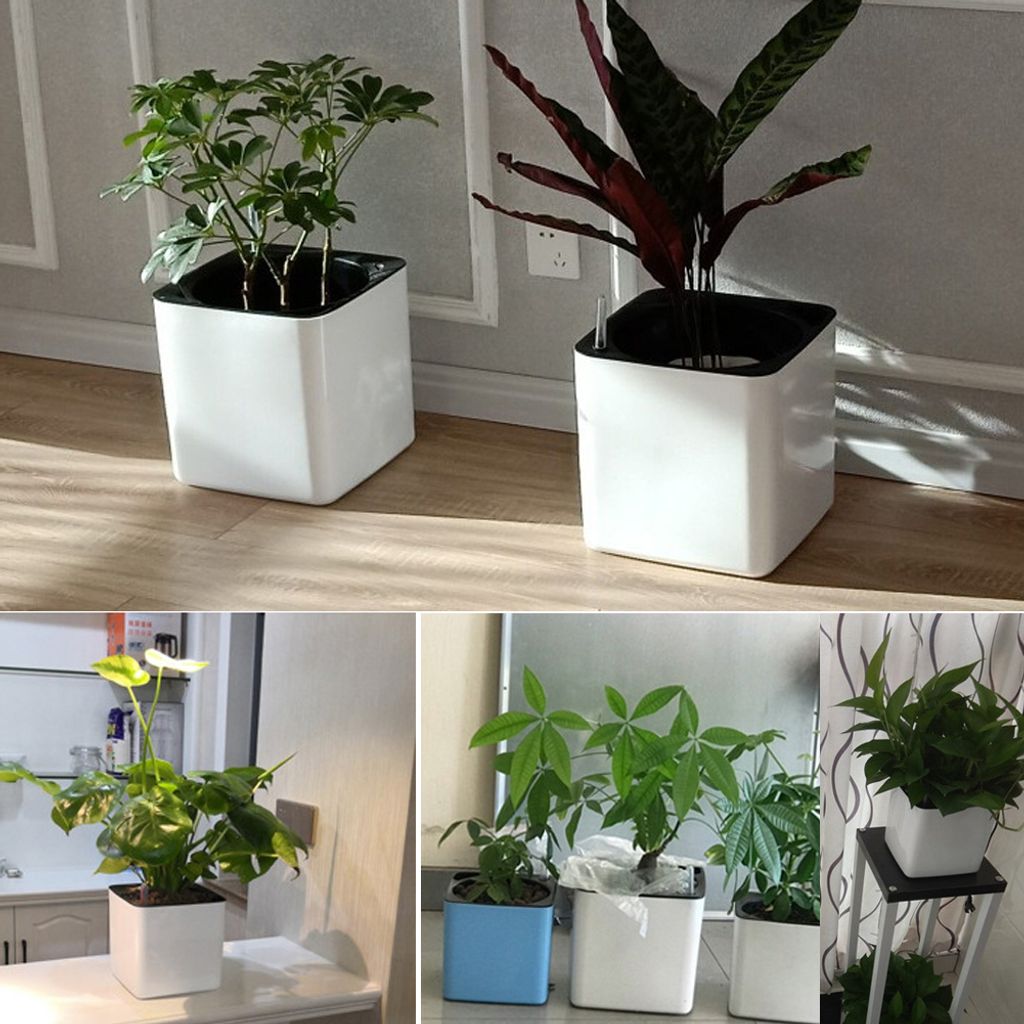 saatgut-aufbewahrungsbox holz Feggies Samen-Aufbewahrungsbox PRO
