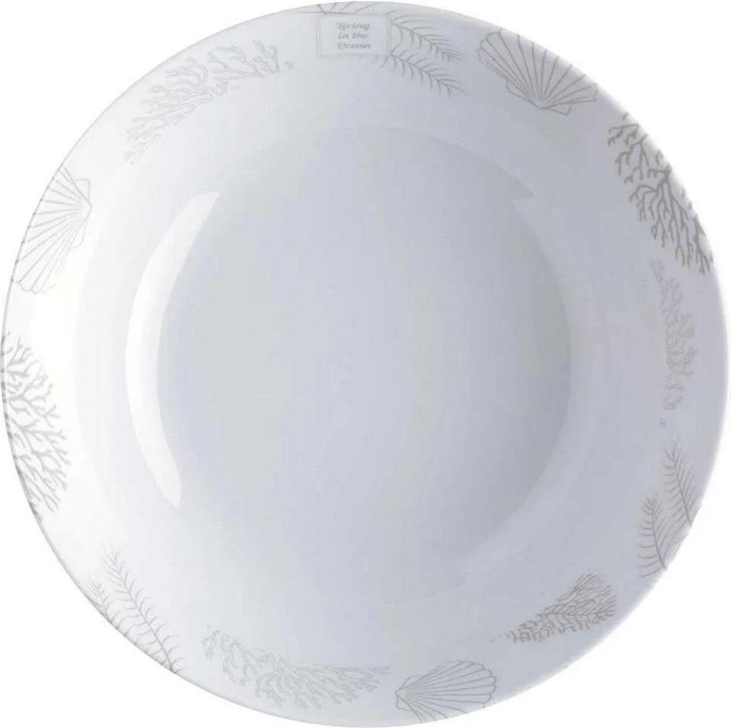 Marine Business Lebendige Suppenschüssel 6 Einheiten Durchsichtig Durchsichtig One Size