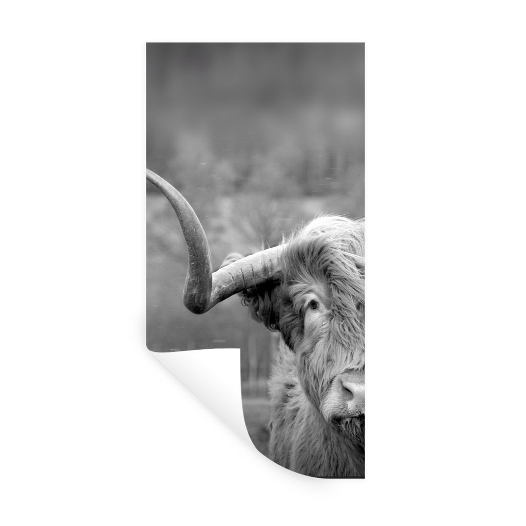 MuchoWow Wandtattoo Wandsticker Wandaufkleber Schottischer Highlander - Kuhkopf - Landschaft - Natur - Kuh 40x80 cm Selbstklebend und Repositioni...