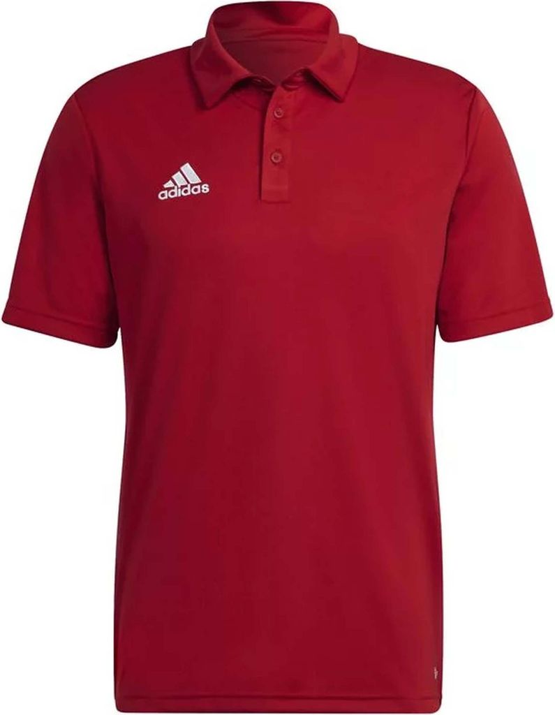 Adidas Short Sleeve Polo H57489 in Multicolored color size large