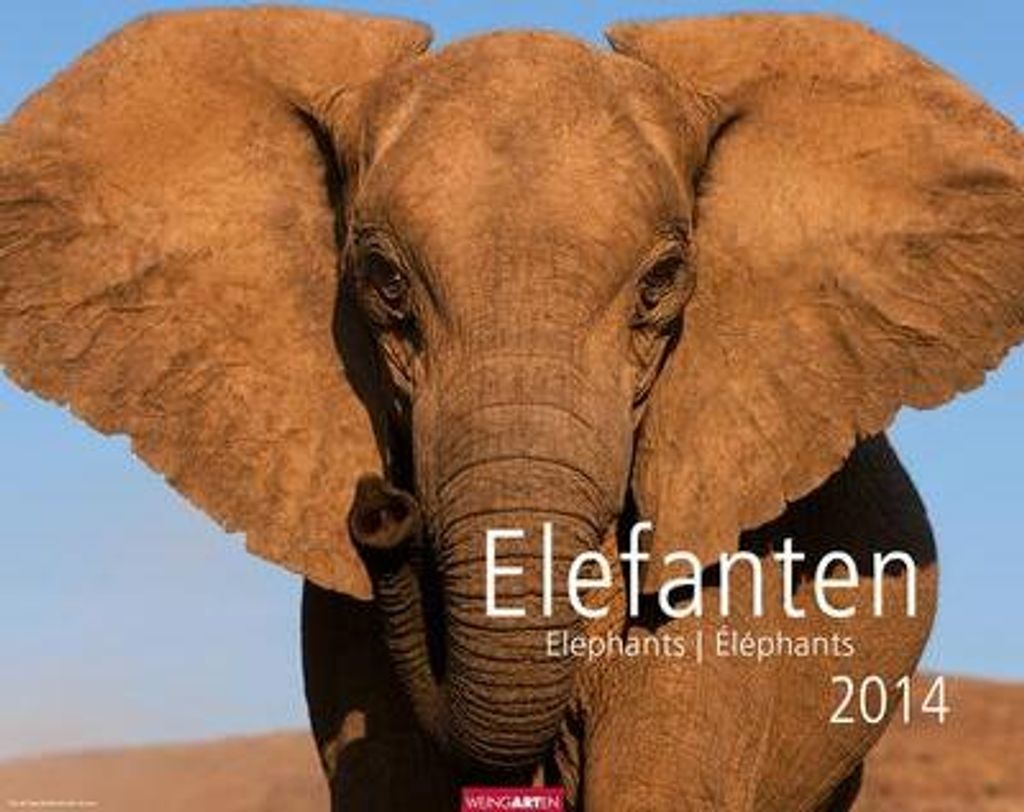 Elefanten 2014