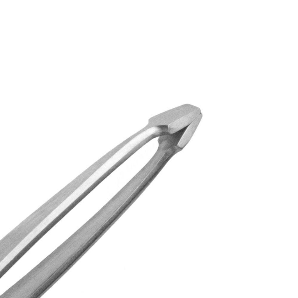 EasyULT 2 In 1 Profi Zeckenzange, Zeckenpinzette Und Zeckenhaken, Aus Hochwertigem Edelstahl Problemlos Zecken Entfernen, Zeckenentferner Für Mensch, Hunde, Katzen(mit Aufbewahrungsbox - Foto 5