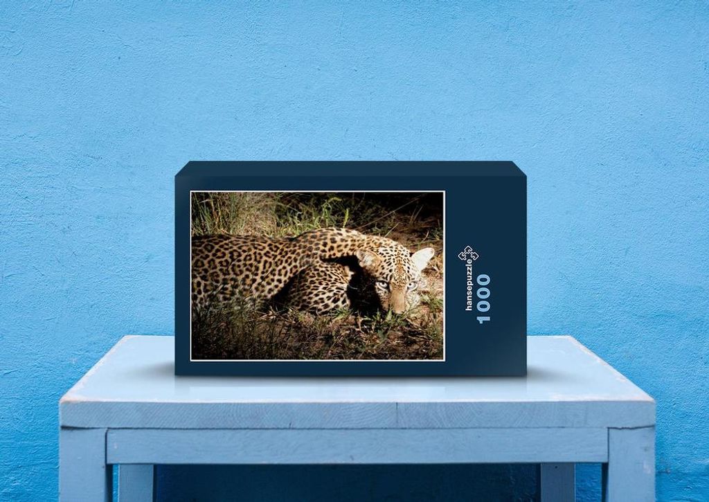 hansepuzzle 76933 - Leopard Puzzle, 1000 Teile, Tierwelt, 60,0 x 46,0cm mit hochwertiger Aufbewahrung, Kartonbox und wiederverschließbarem Beutel