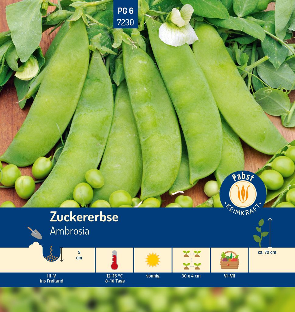 Pabst Keimkraft - Zuckererbse mittelfrüh & fleischig Ambrosia Samen - 177230