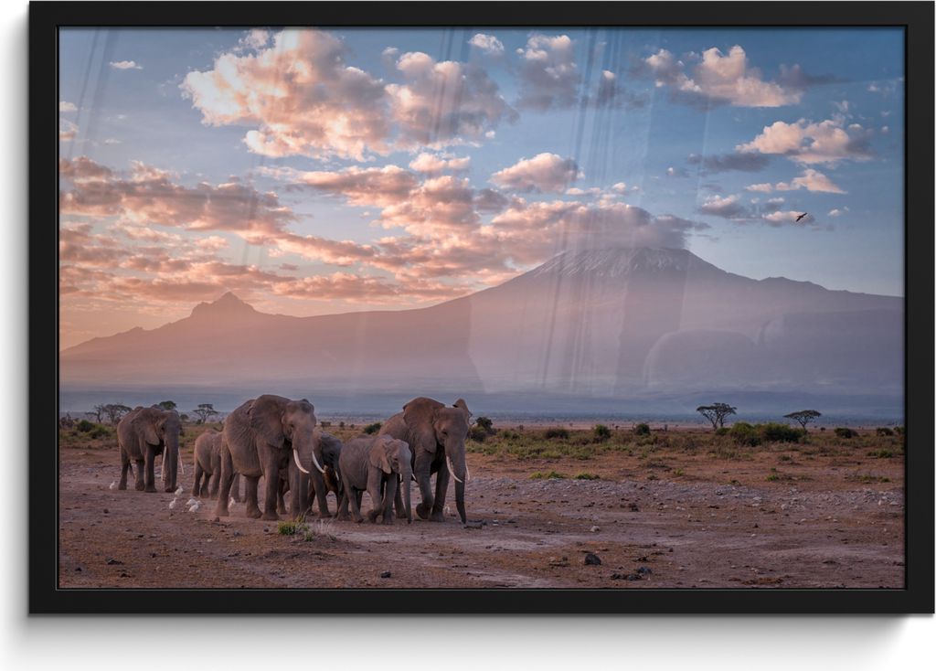 MuchoWow MuchoWow Gerahmtes Poster Elefant - Tiere - Abend - Landschaft - Savanne 60x40 cm - Poster mit zchwarzem Bilderrahmen - Printing - Wan...