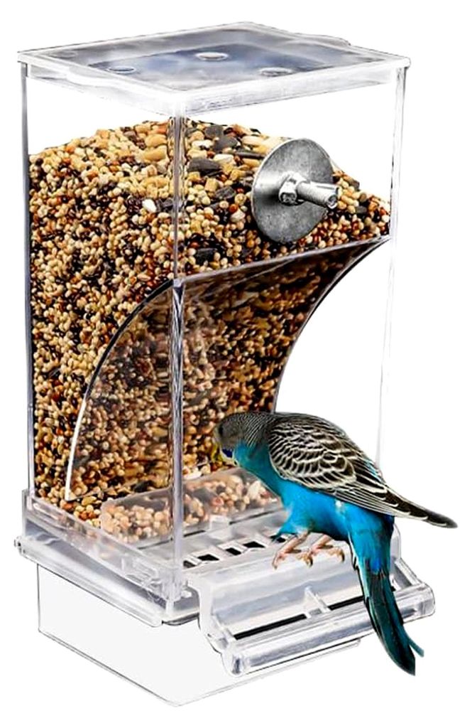 Automatischer Futterspender für Vögel mit transparentem Wasserspender