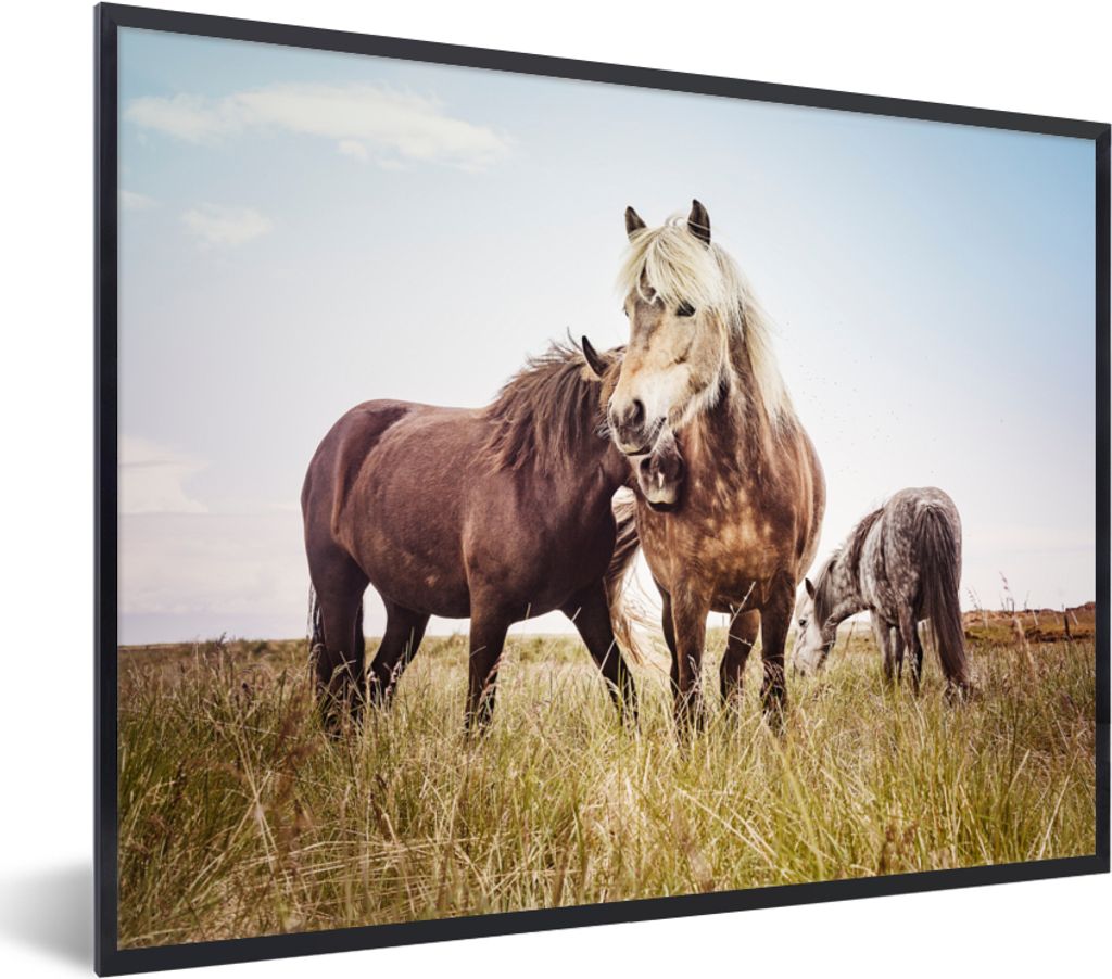 MuchoWow Gerahmtes Poster Pferde - Gras - Frühling 80x60 cm - Poster mit Schwarzem Bilderrahmen Wandposter Rahmen Foto Bilder - Schwarzem - Mit ...