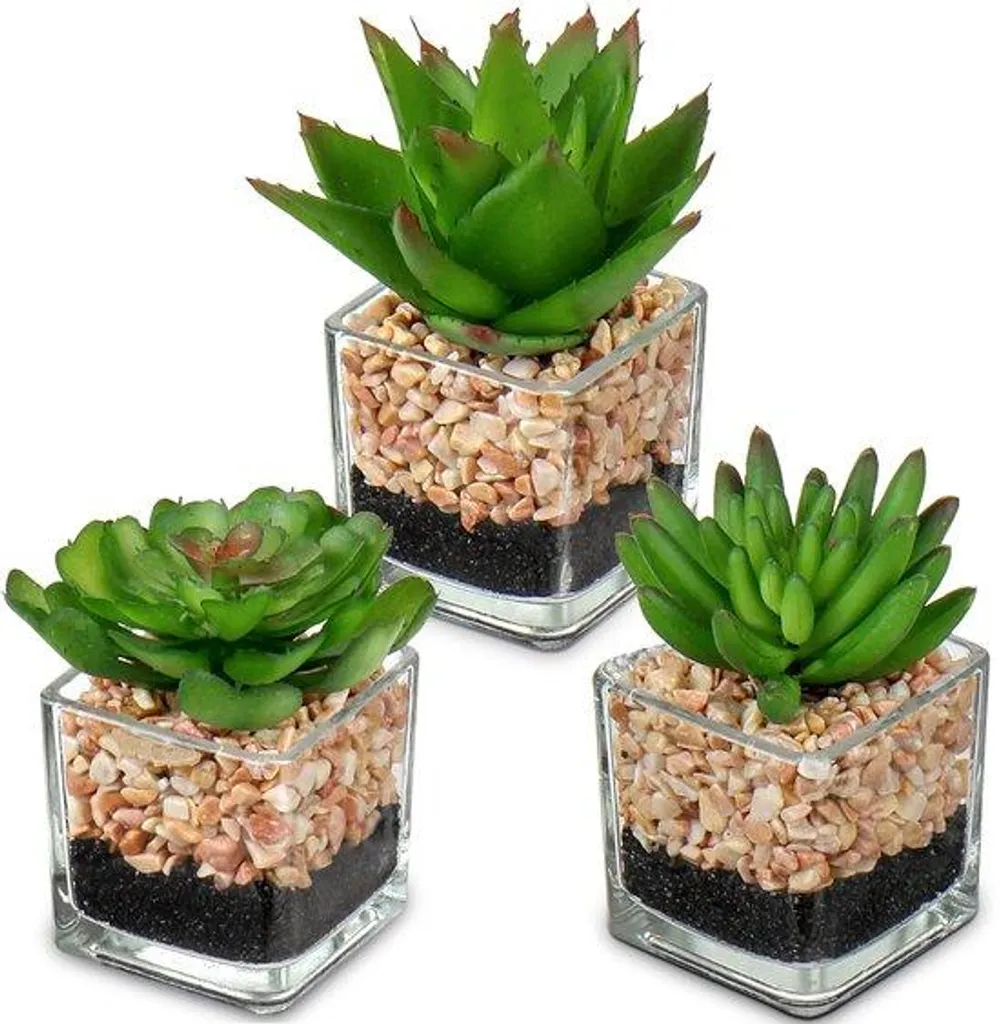 Plantes d'intérieur artificielles sans entretien : lot de 3 pots verre