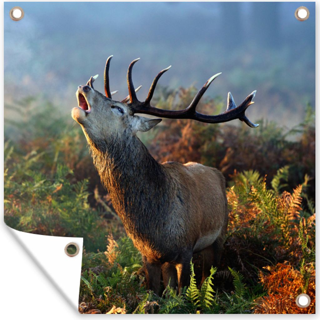 MuchoWow 50x50 cm Outdoor-Poster Gartendeko Sichtschutz Garten Poster für den Garten Hirsche - Wald - Nebel