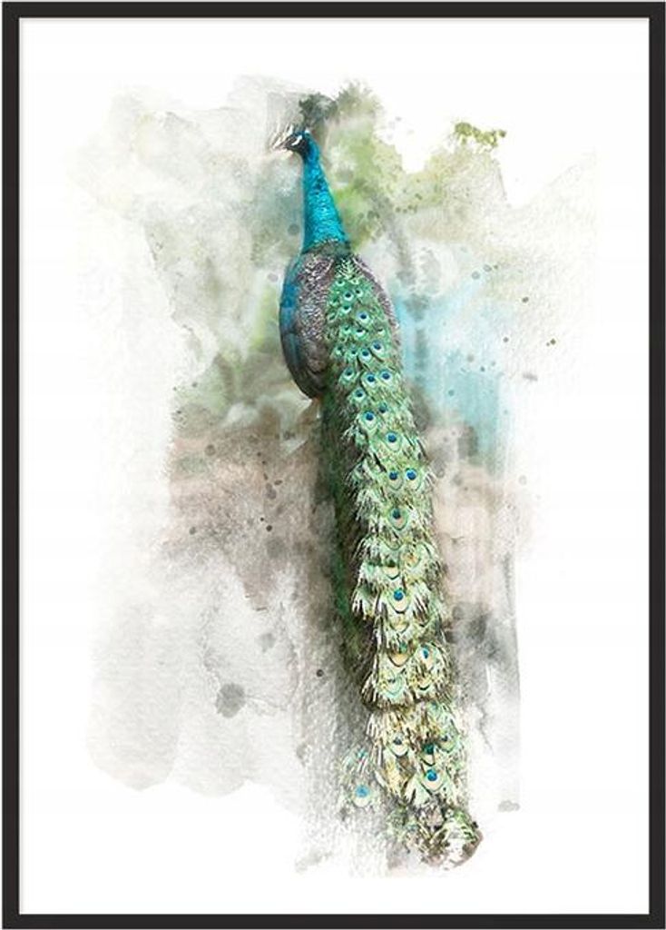 Bild Poster im Rahmen 43x33 cm Pfote P768