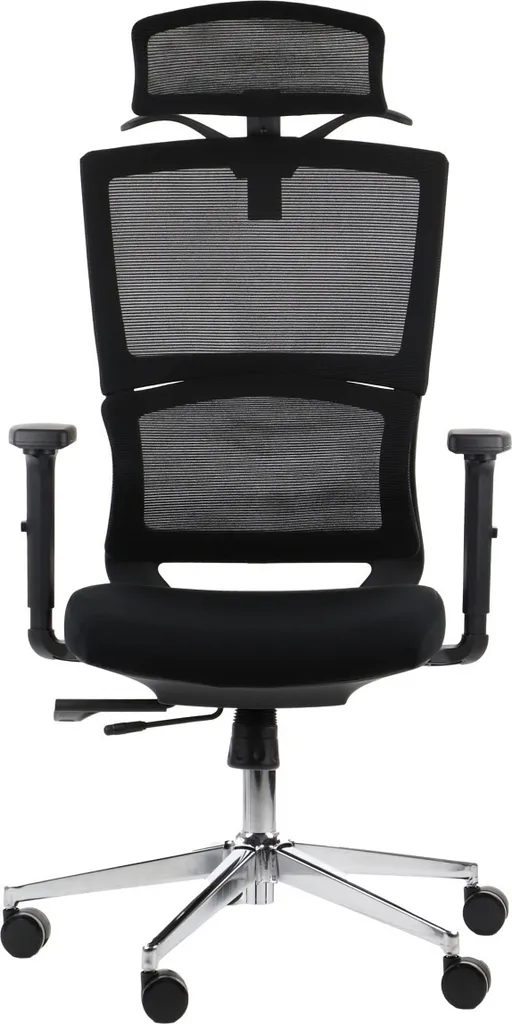 Chaise ergonomique TRENT : soutien lombaire et accoudoirs réglables
