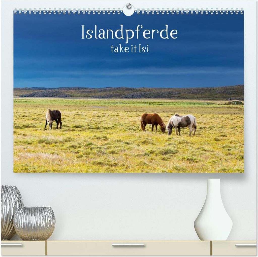 Islandpferde take it Isi (hochwertiger Premium Wandkalender 2026 DIN A2 quer), Kunstdruck in Hochglanz