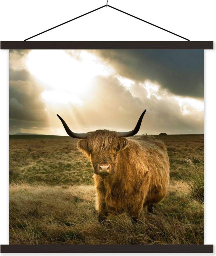 MuchoWow Textilposter Schottisches Hochlandrind - Sonne - Tiere 60x60 cm mit schwarzem Rahmen - Posteraufhänger