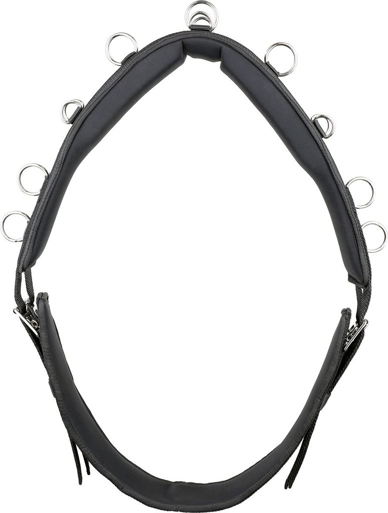 Kieffer Longiergurt ESSENTIALS CIRCLE, Farbe:schwarz, Produktbild 