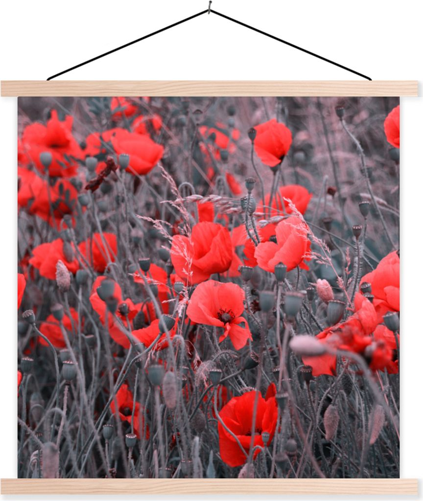 MuchoWow Textilposter Rote Mohnblumen in einem Schwarz-Weiß-Bild 120x120 cm mit holzfarbenen Rahmen - Textil-Poster