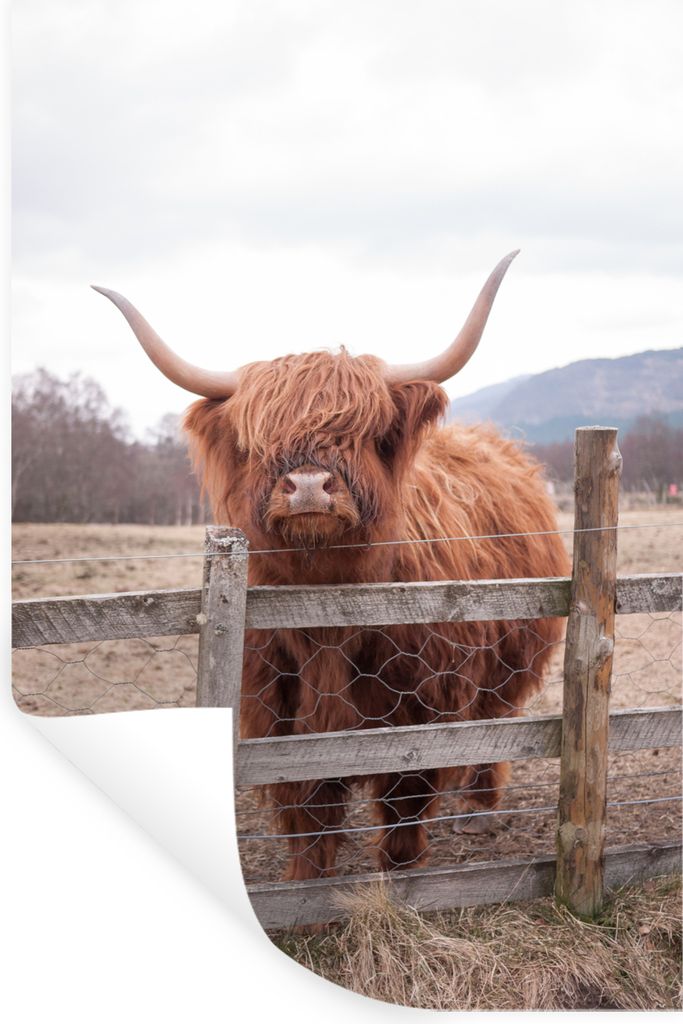 MuchoWow - Wierderverwendbar - Selbstklebend