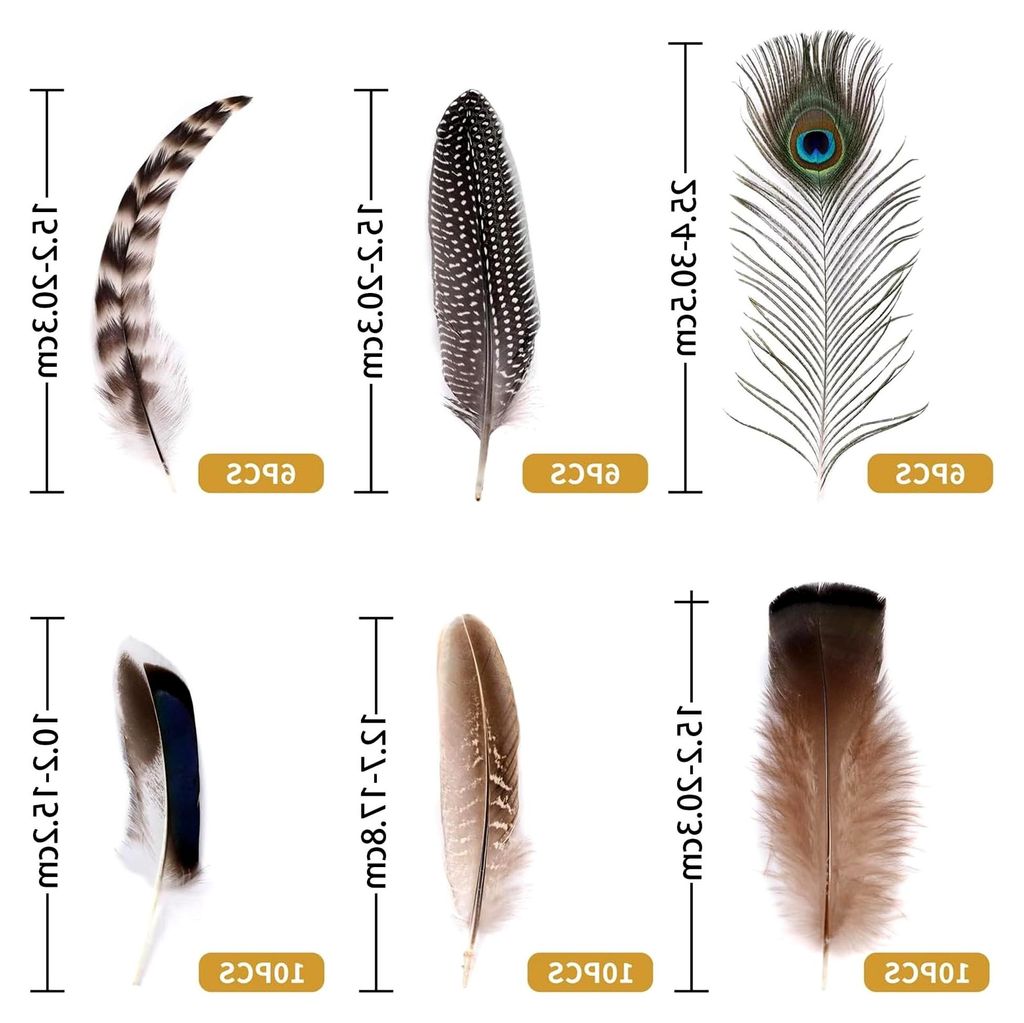 48 Stück Naturfedern in Großpackung – 6 Stile, verschiedene Naturfedern für Bastelarbeiten, Schmuck, Hüte, Hochzeiten und Karneval