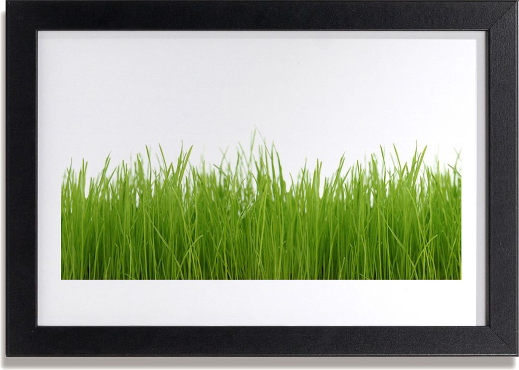 Bild 30x20 MDF-Rahmen Wandkunst Gras Natur Pflanze