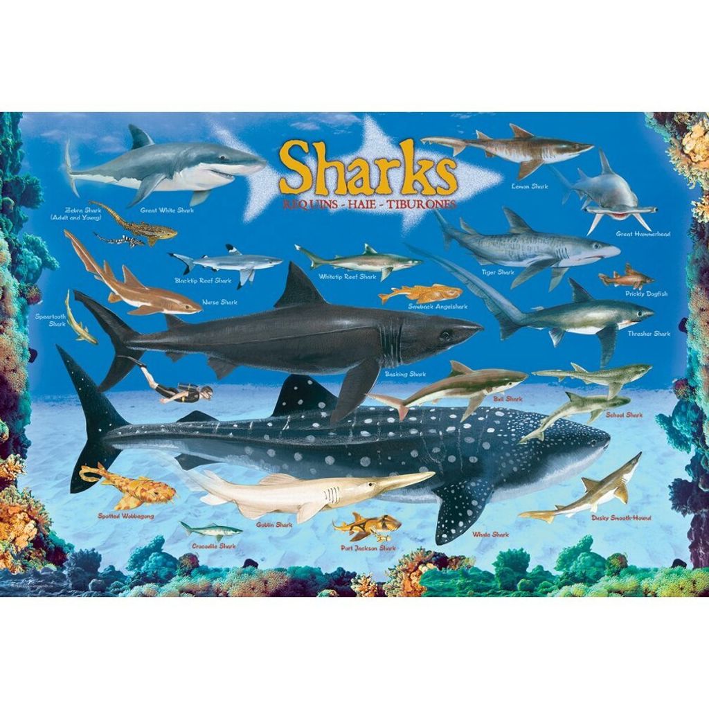 EUROGRAPHICS Rekiny Puzzle 100 elementów Zdjęcie produktu 