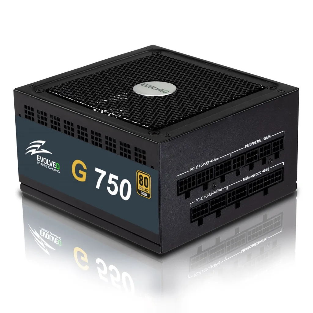 Recensione EVOLVEO G750 750W Gold: L'Alimentatore Definitivo?