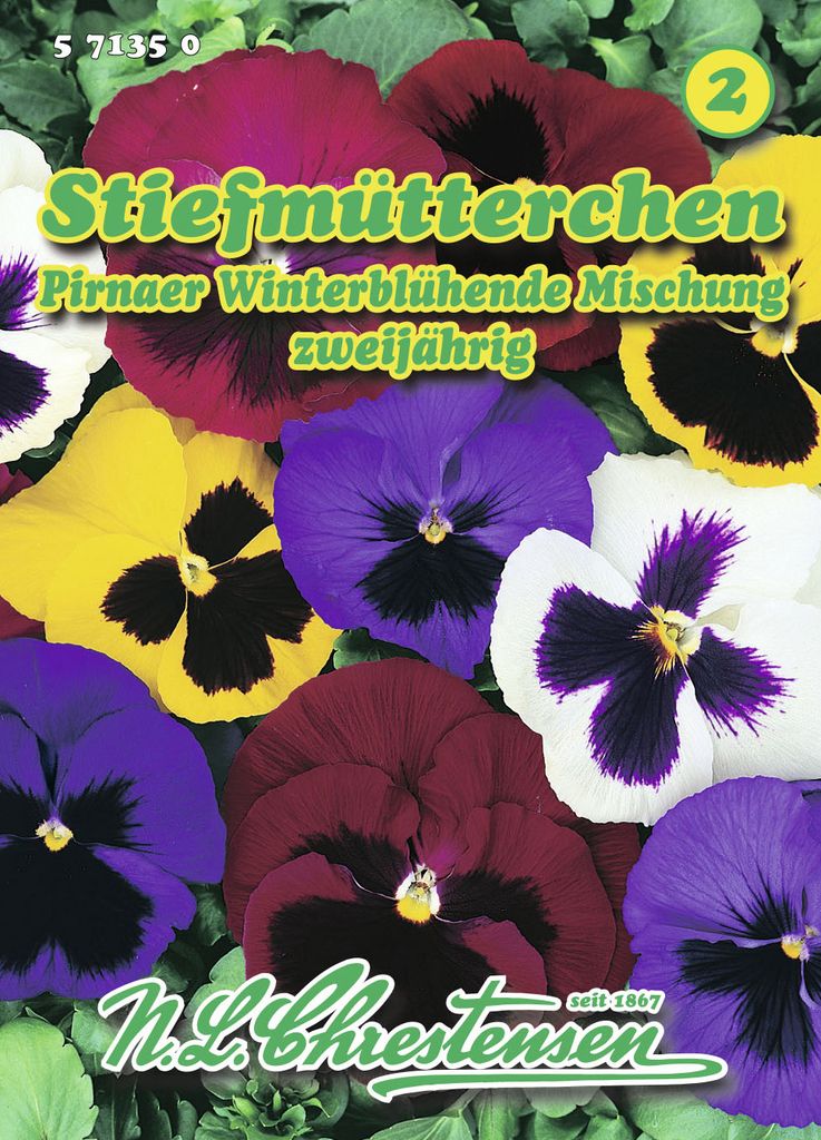 Stiefmütterchen Pirnaer Winterblühende Mischung | Stiefmütterchensamen von N.L. Chrestensen