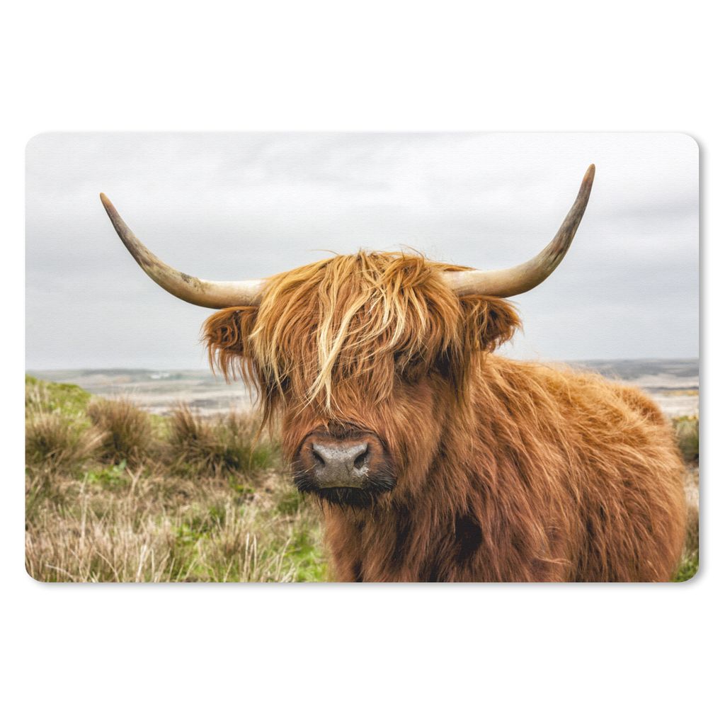 MuchoWow Schreibtischunterlage Schottischer Highlander - Kuh - Dünen 60x40 cm - XXL Mauspad - Großes Mauspad