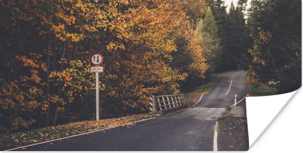 MuchoWow Poster Bäume - Straße - Herbst 150x75 cm - ohne Rahmen