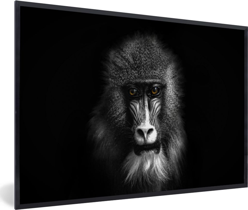 MuchoWow Gerahmtes Poster Affe - Tiere - Augen - Braun - Schwarz und weiß 30x20 cm - Poster mit Schwarzem Bilderrahmen Wandposter Rahmen Foto Bi...