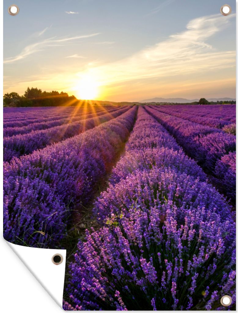 MuchoWow 90x120 cm Outdoor-Poster Gartendeko Sichtschutz Garten Poster für den Garten Lavendel - Blumen - Sonnenuntergang - Lila