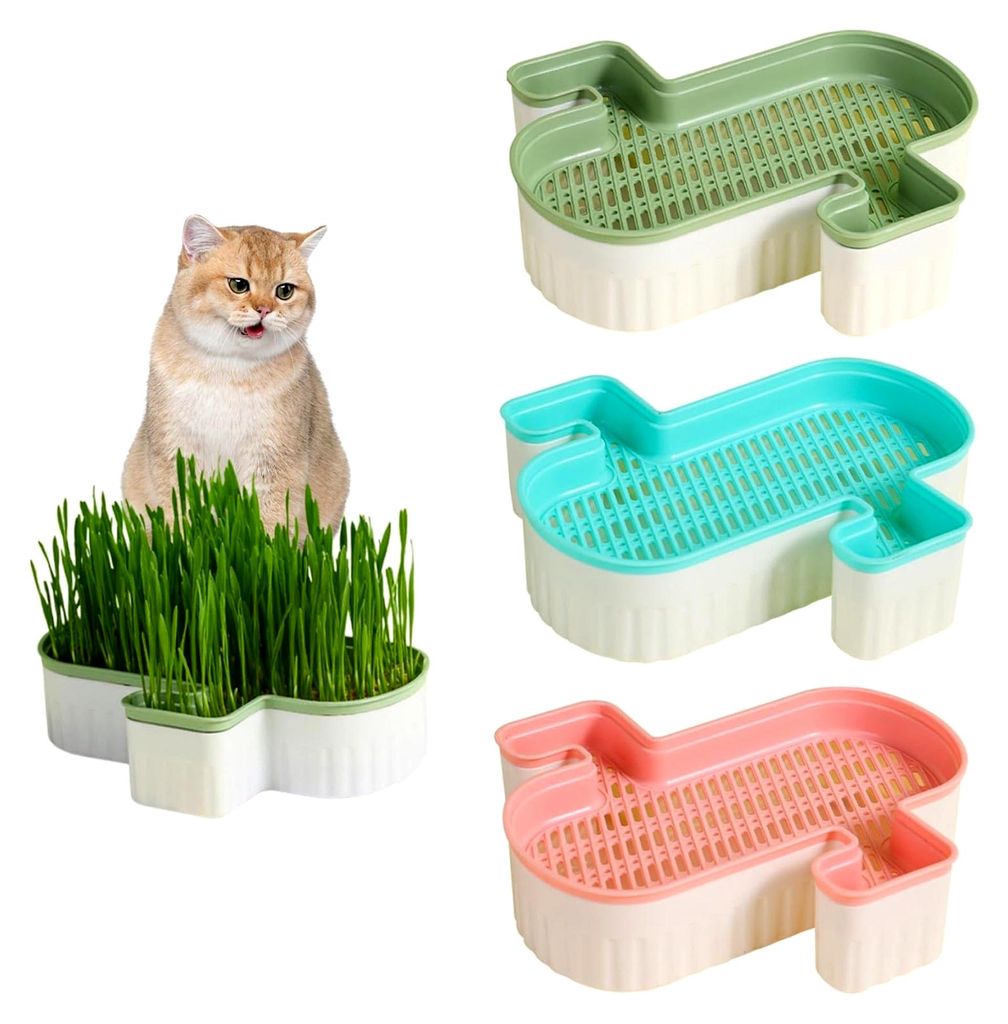 Katzengras-Tablett, Pflanzgefäß für Katzengras, 3-teiliges Anzuchtset ohne Erde, abnehmbare Samenschale, PP-Samenkeimkasten für Haustiere