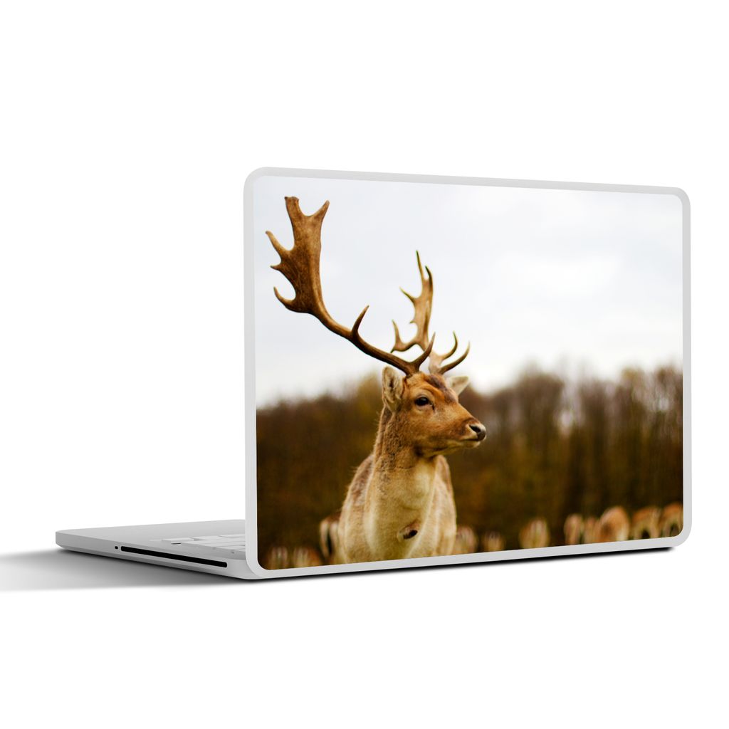 MuchoWow Laptop Aufkleber Sticker Cover Damhirsch - Wald - Herde - Tiere - Natur 30x21 cm - Sticker für Laptop - Selbstklebend